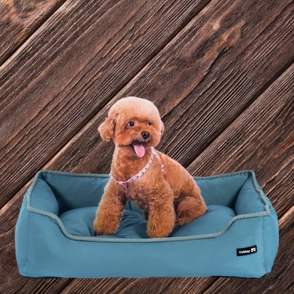 🐾 Dog Bed, New